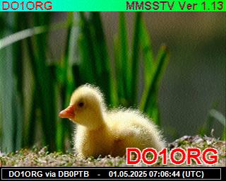 DO1ORG: 2025050109 de PI1DFT