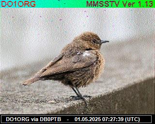 DO1ORG: 2025050109 de PI1DFT