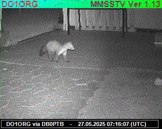 DO1ORG: 2025052709 de PI1DFT