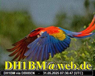 DH1BM: 2025053109 de PI1DFT