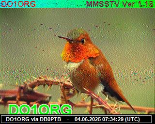 DO1ORG: 2025060409 de PI1DFT