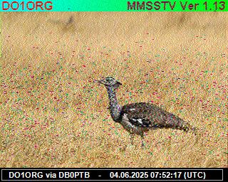 DO1ORG: 2025060409 de PI1DFT