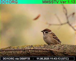 DO1ORG: 2025061113 de PI1DFT