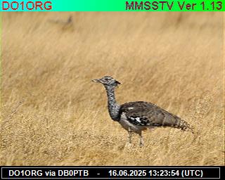 DO1ORG: 2025061615 de PI1DFT