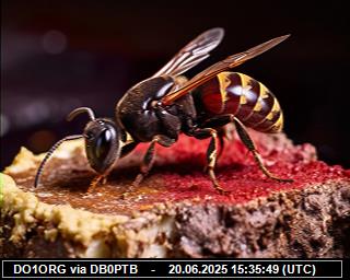 DO1ORG: 2025062017 de PI1DFT