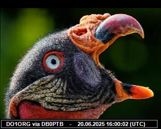 DO1ORG: 2025062017 de PI1DFT