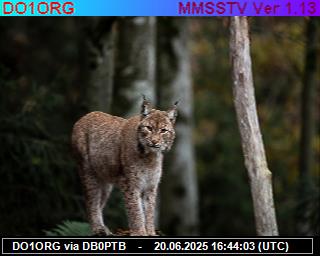 DO1ORG: 2025062018 de PI1DFT