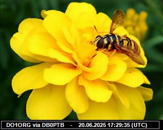 DO1ORG: 2025062019 de PI1DFT