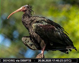 DO1ORG: 2025062019 de PI1DFT