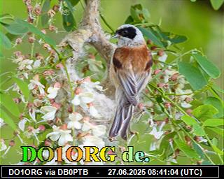 DO1ORG: 2025062710 de PI1DFT