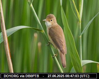 DO1ORG: 2025062710 de PI1DFT