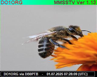 DO1ORG: 2025070109 de PI1DFT