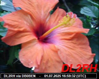 DL2RH: 2025070119 de PI1DFT