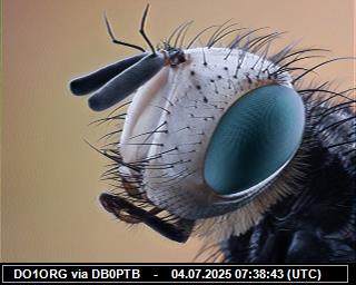 DO1ORG: 2025070409 de PI1DFT