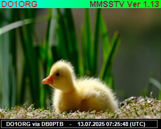 DO1ORG: 2025071309 de PI1DFT