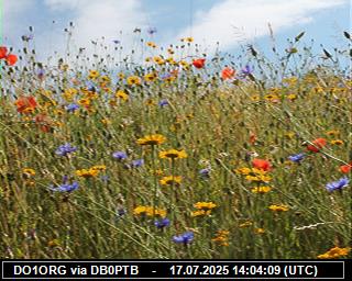 DO1ORG: 2025071716 de PI1DFT