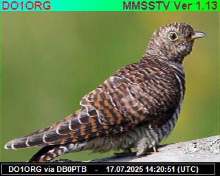 DO1ORG: 2025071716 de PI1DFT