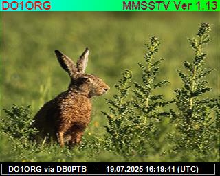 DO1ORG: 2025071918 de PI1DFT