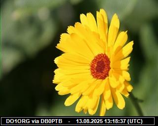 DO1ORG: 2025081315 de PI1DFT