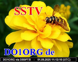 DO1ORG: 2025090113 de PI1DFT