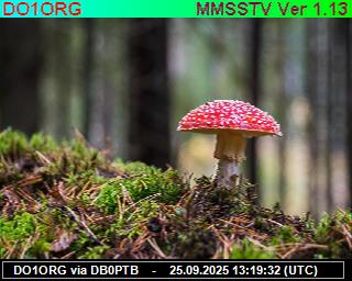 DO1ORG: 2025092515 de PI1DFT