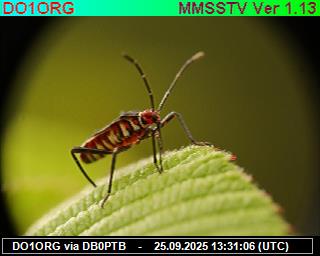 DO1ORG: 2025092515 de PI1DFT