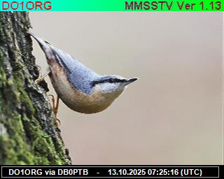 DO1ORG: 2025101309 de PI1DFT