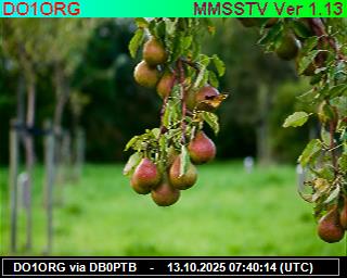 DO1ORG: 2025101309 de PI1DFT