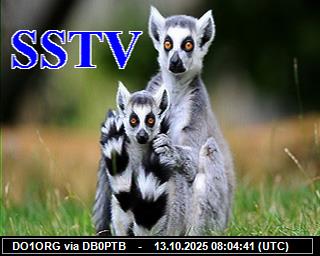 DO1ORG: 2025101310 de PI1DFT