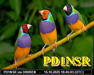 PD1NSR: 2025101520 de PI1DFT