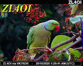 ZL4OI: 2025102003 de PI1DFT