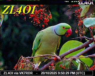 ZL4OI: 2025102023 de PI1DFT