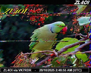 ZL4OI: 2025102803 de PI1DFT