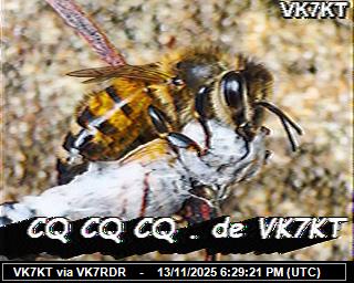 VK7KT: 2025111319 de PI1DFT