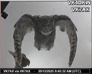 VK7AX: 2025122010 de PI1DFT