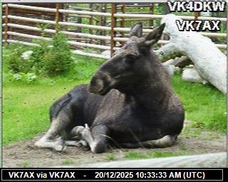 VK7AX: 2025122011 de PI1DFT