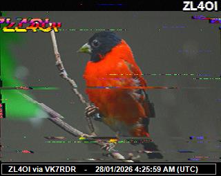 ZL4OI: 2026012805 de PI1DFT