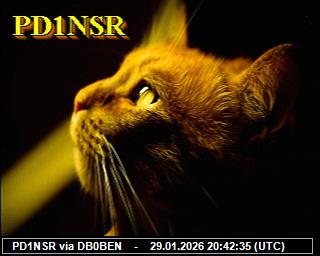PD1NSR: 2026012921 de PI1DFT