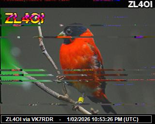 ZL4OI: 2026020123 de PI1DFT