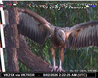 VK7EV: 2026020803 de PI1DFT