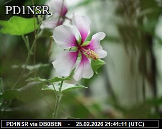 PD1NSR: 2026022522 de PI1DFT