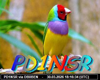 PD1NSR: 2026033020 de PI1DFT