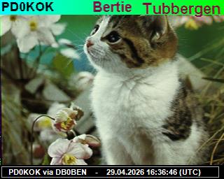 PD0KOK: 2026042918 de PI1DFT
