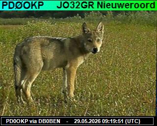PD0OKP: 2026052911 de PI1DFT