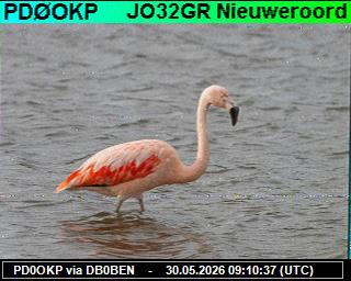 PD0OKP: 2026053011 de PI1DFT