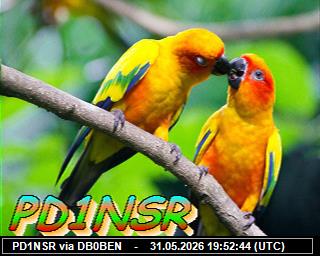PD1NSR: 2026053121 de PI1DFT