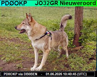 PD0OKP: 2026060112 de PI1DFT