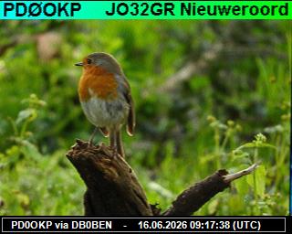 PD0OKP: 2026061611 de PI1DFT