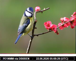PE1NMM: 2026062207 de PI1DFT