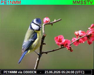 PE1NMM: 2026062307 de PI1DFT